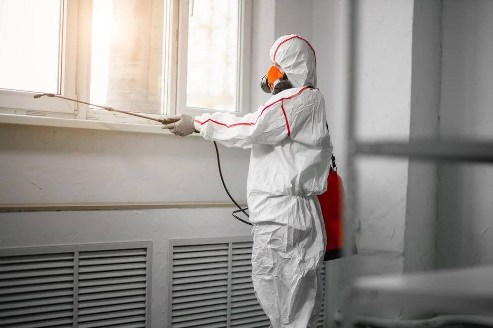 Professional mold remediation services in Beloit, WI